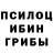 Галлюциногенные грибы прущие грибы tricki combet