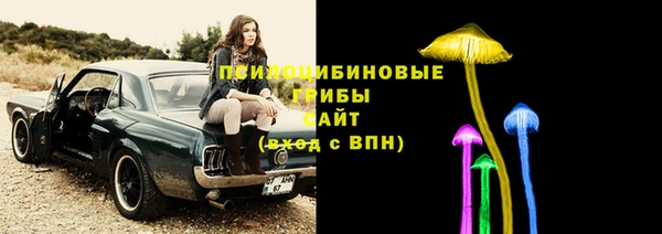 стаф Каменногорск
