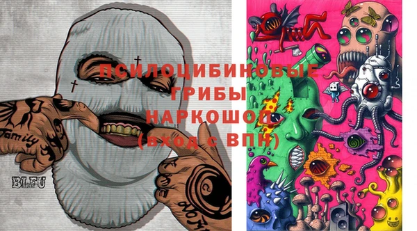 стаф Каменногорск