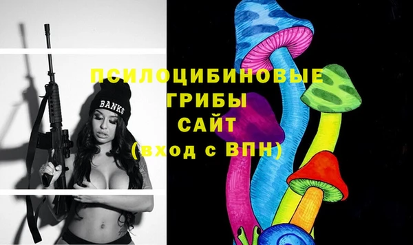 бошки Алексин